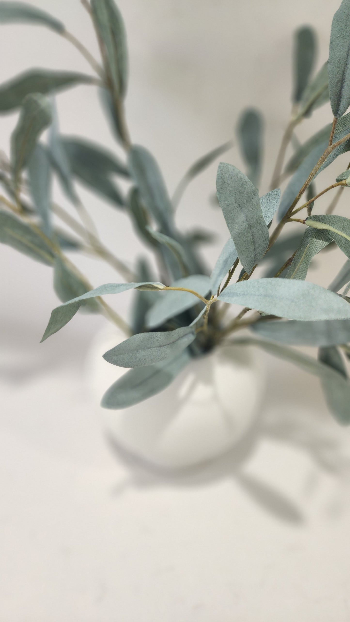 Olive branch ramadan arrangement