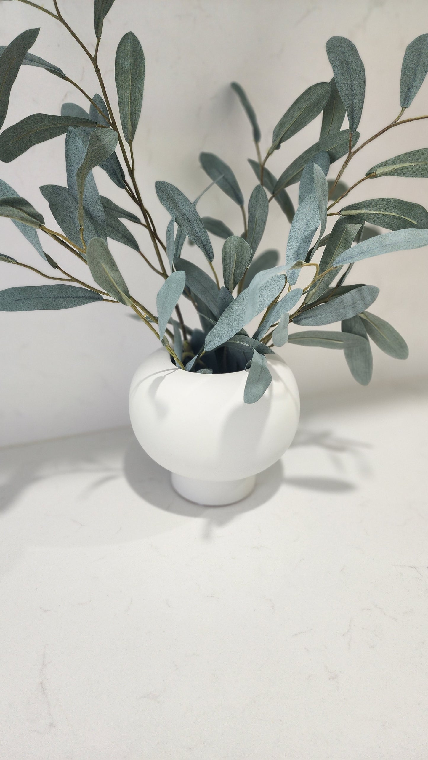 Olive branch ramadan arrangement