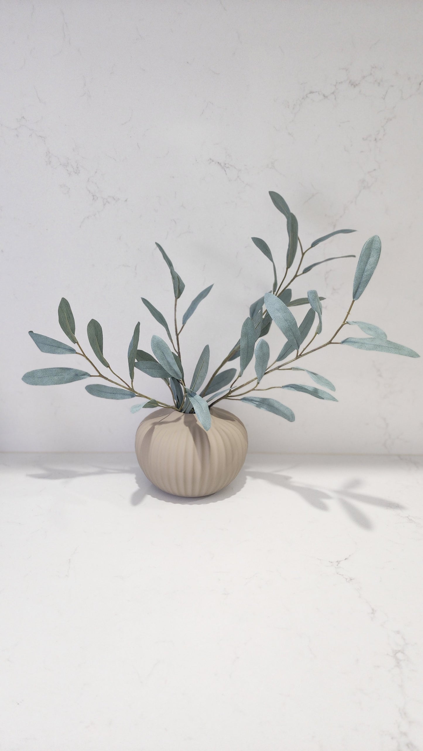 Nude ramadan olive branch arrangement