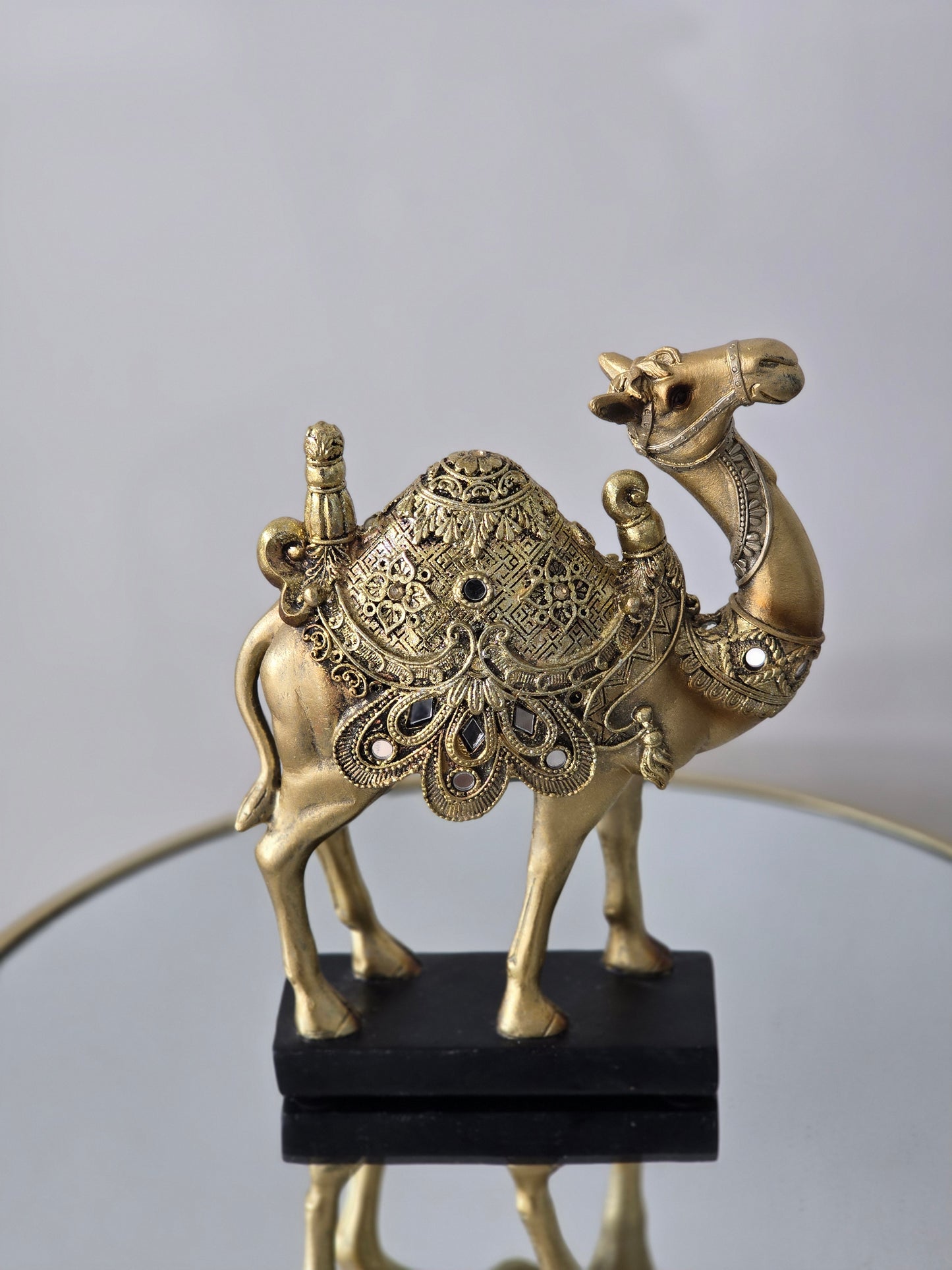 Ramadan camel