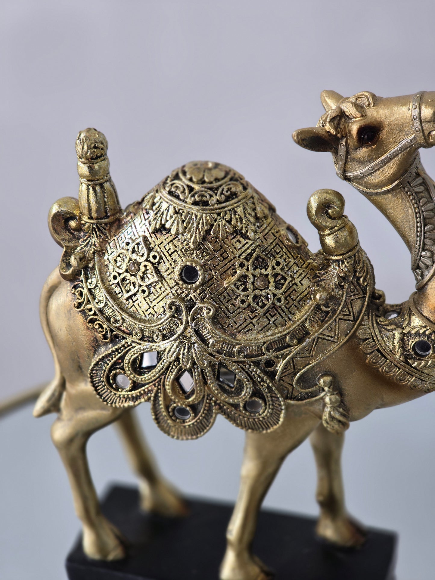 Ramadan camel