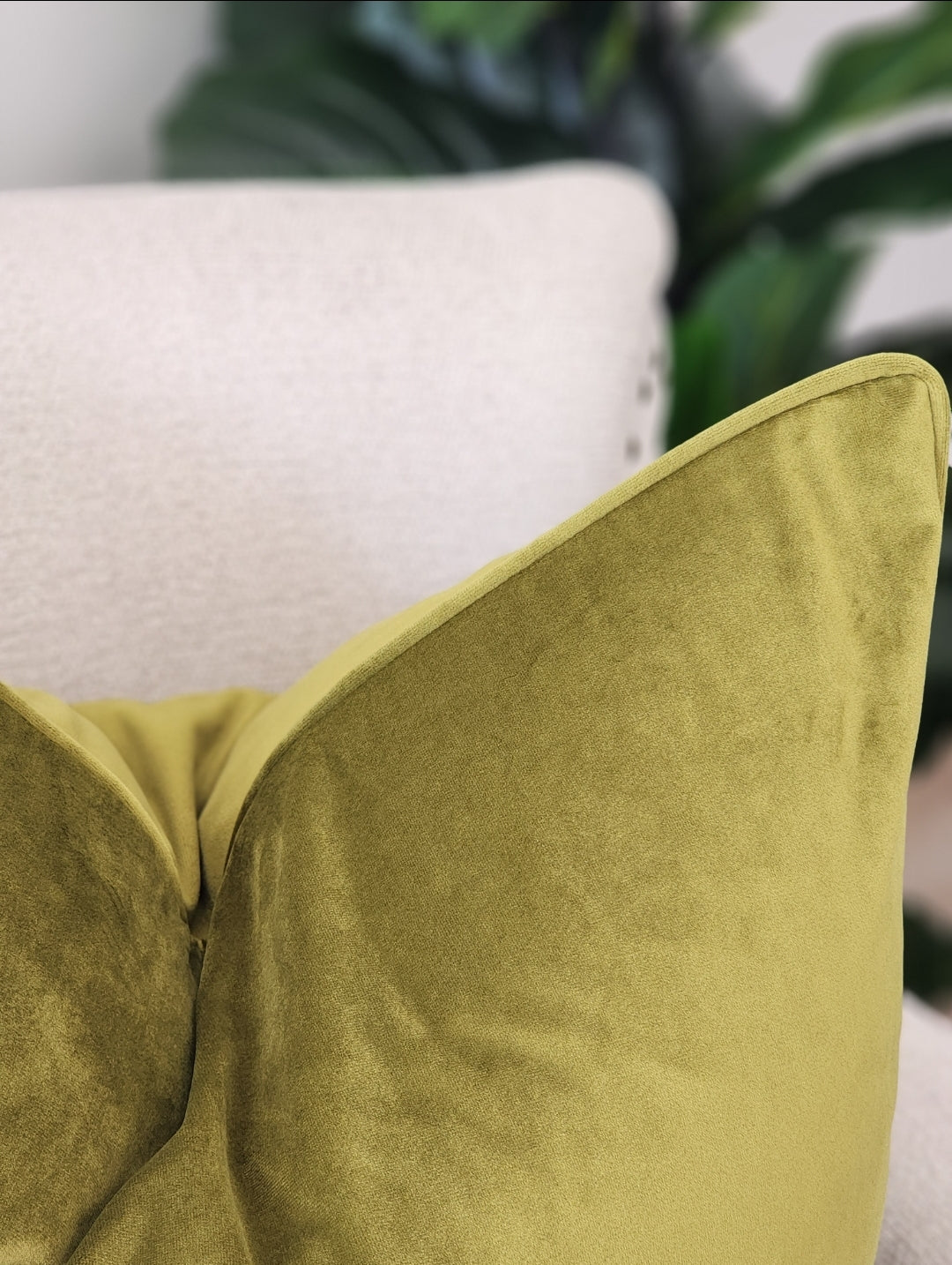 Moss cushion