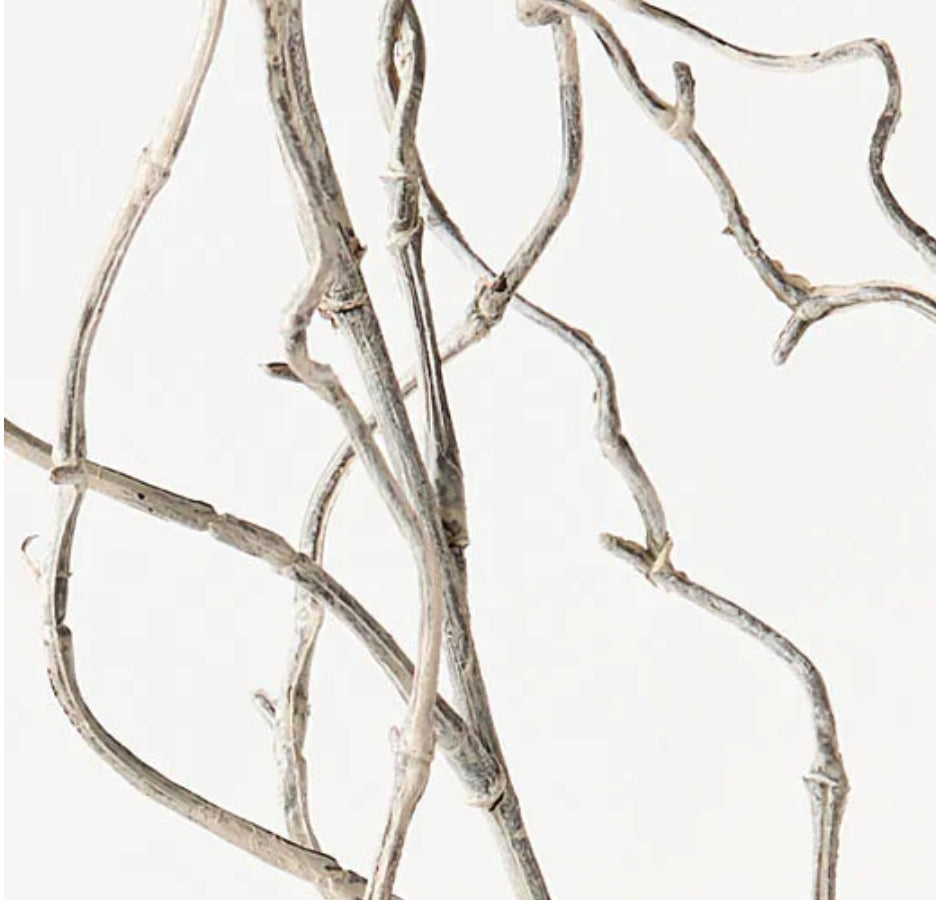 Curly willow twig ( floral arrangement collection)