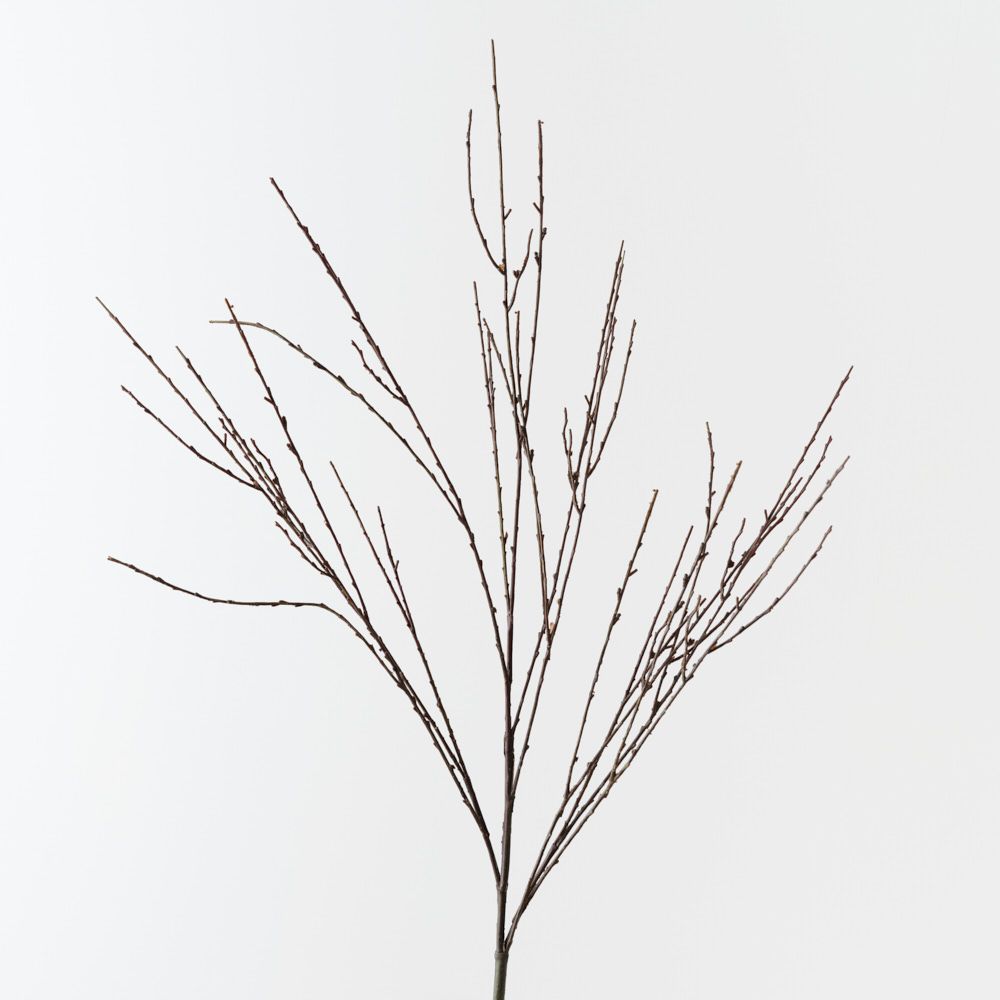 Brown Twig 133cm