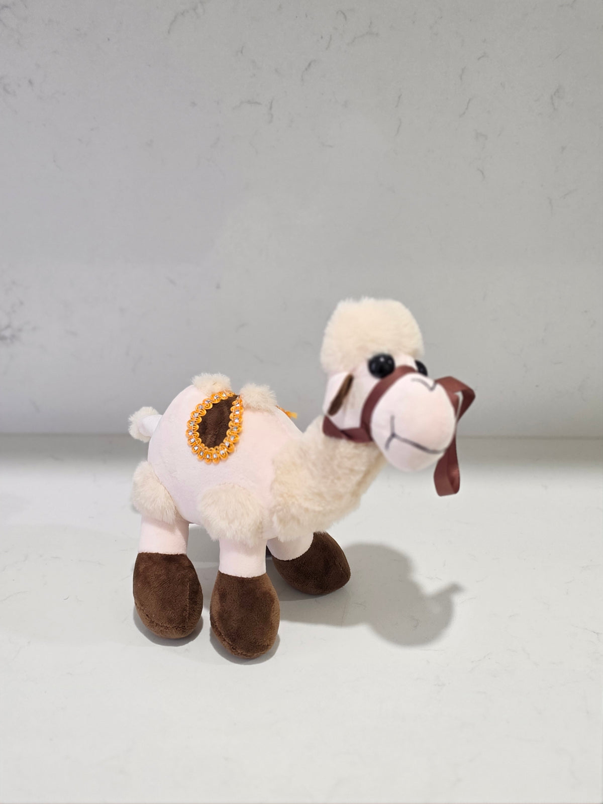 Medina camel
