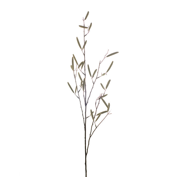 Bean pod spray
