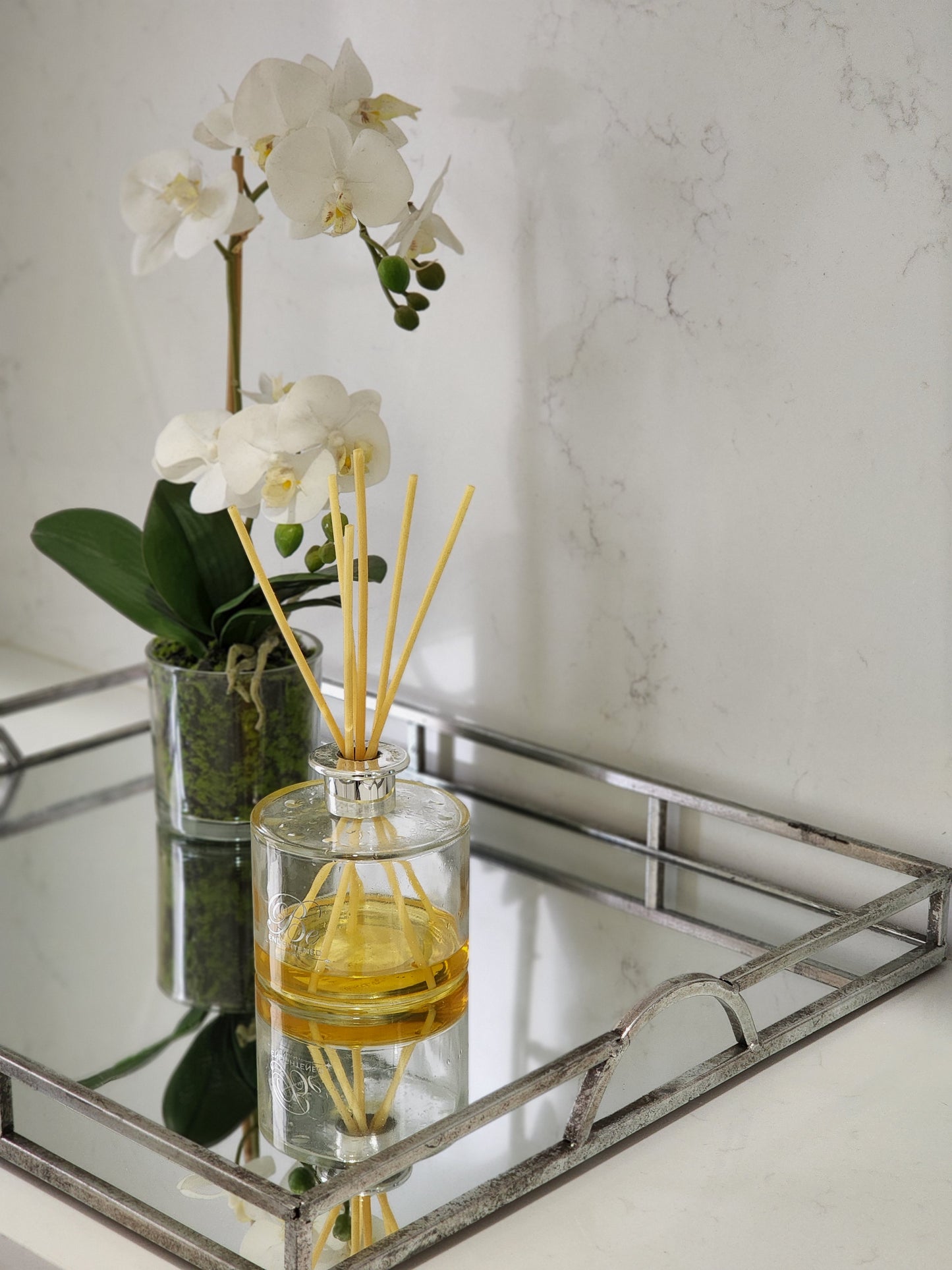Dijon silver tray (large)