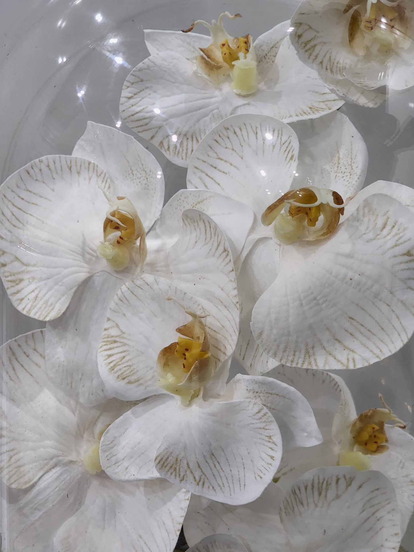 Aya dome floral arragement