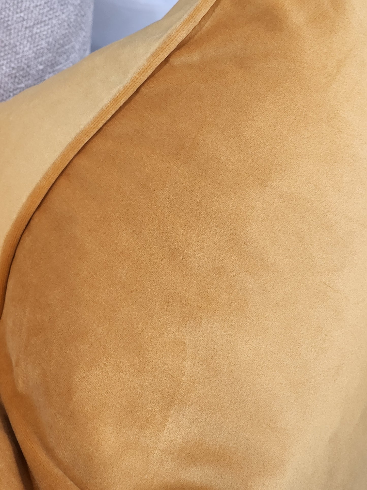 Butternut cushion