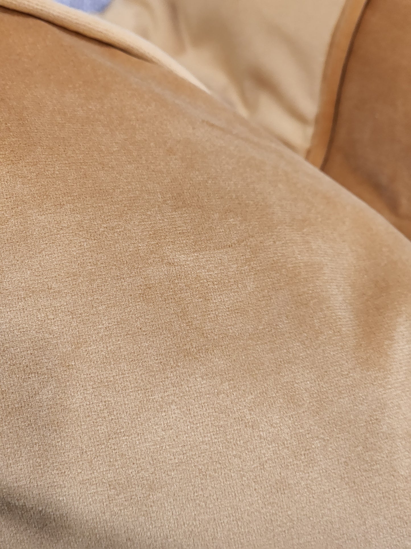 Butternut cushion