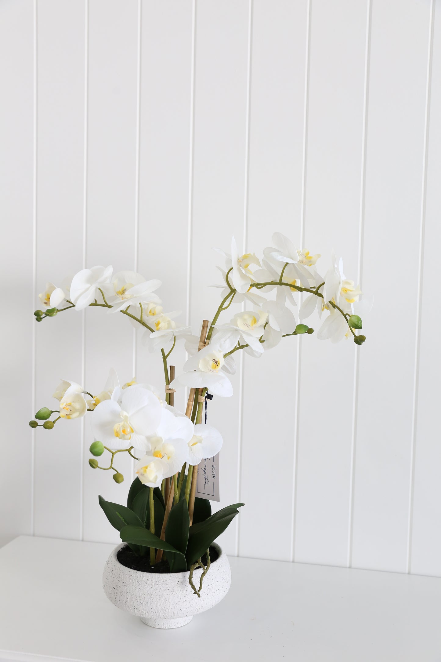 Ella orchid floral