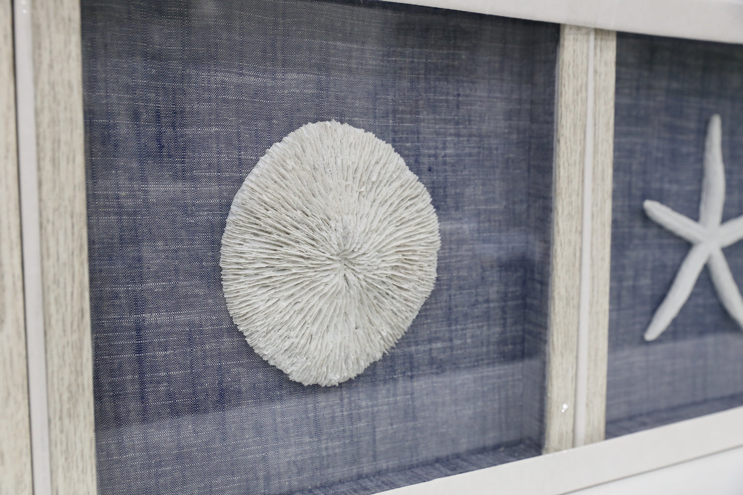 Sea Coral Art - 3 piece