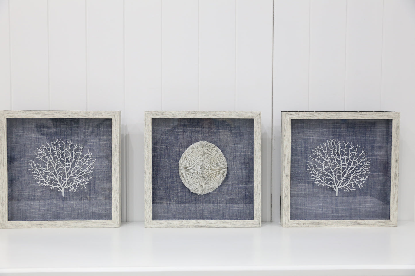 Sea Coral Art - 3 piece
