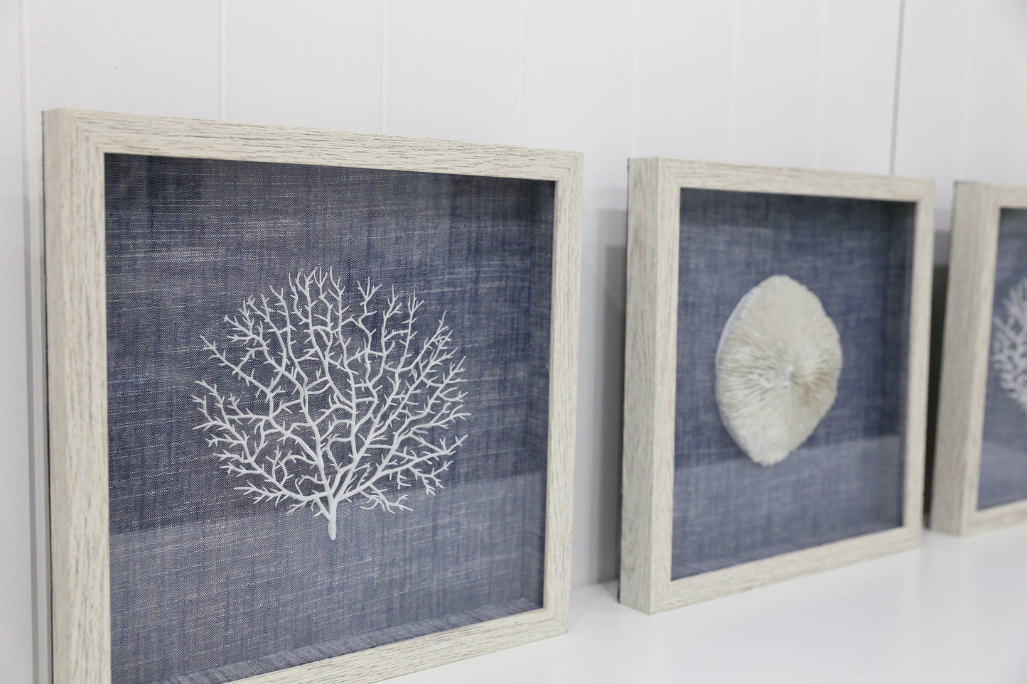 Sea Coral Art - 3 piece