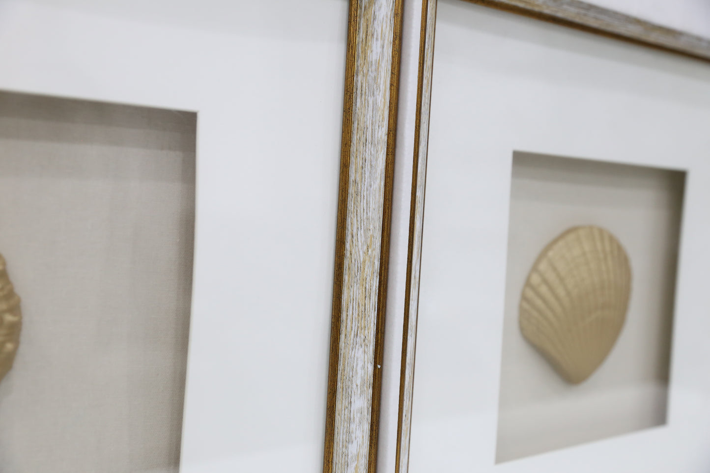 Golden Coral Art - 3 Piece Set