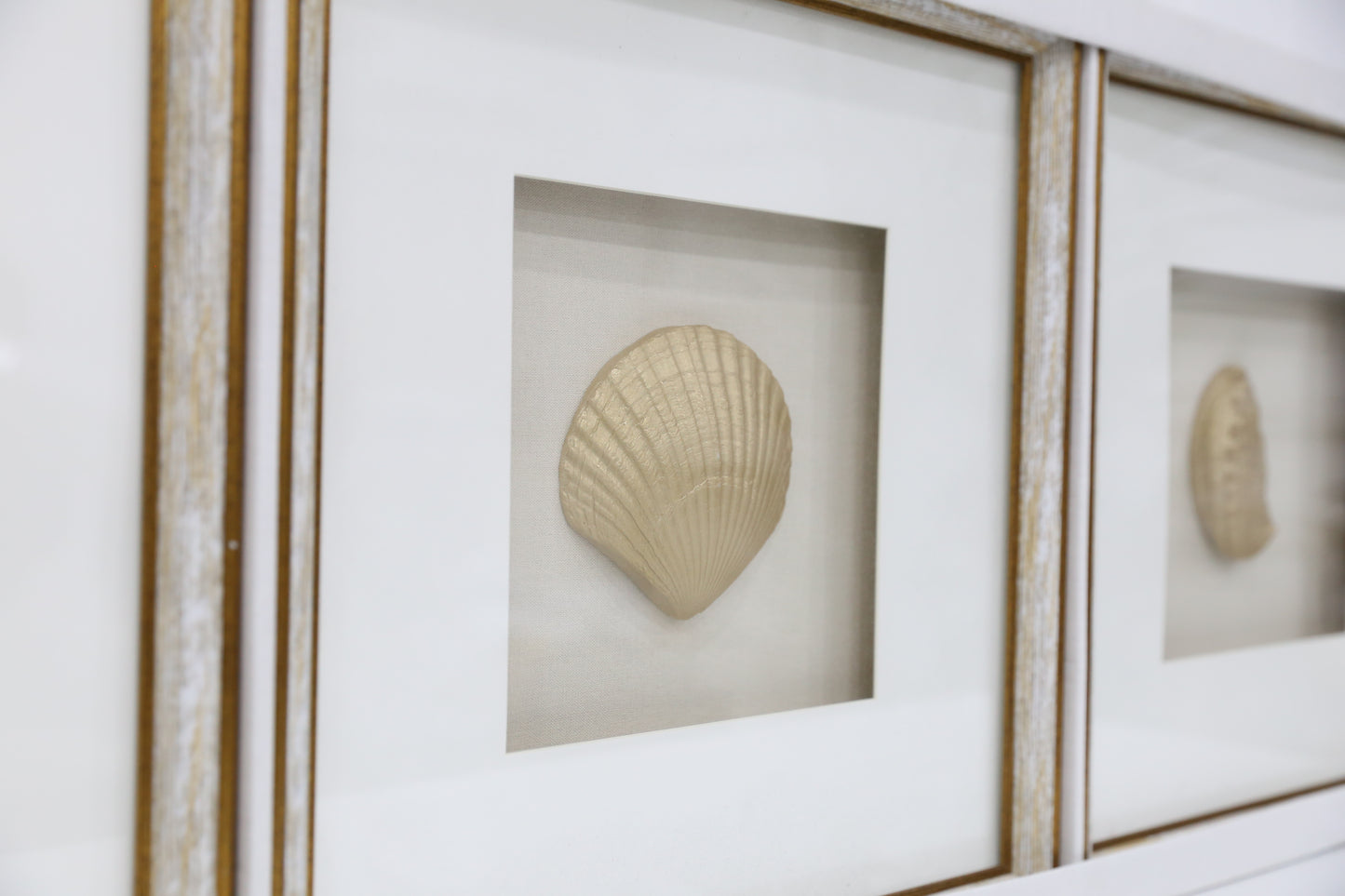 Golden Coral Art - 3 Piece Set