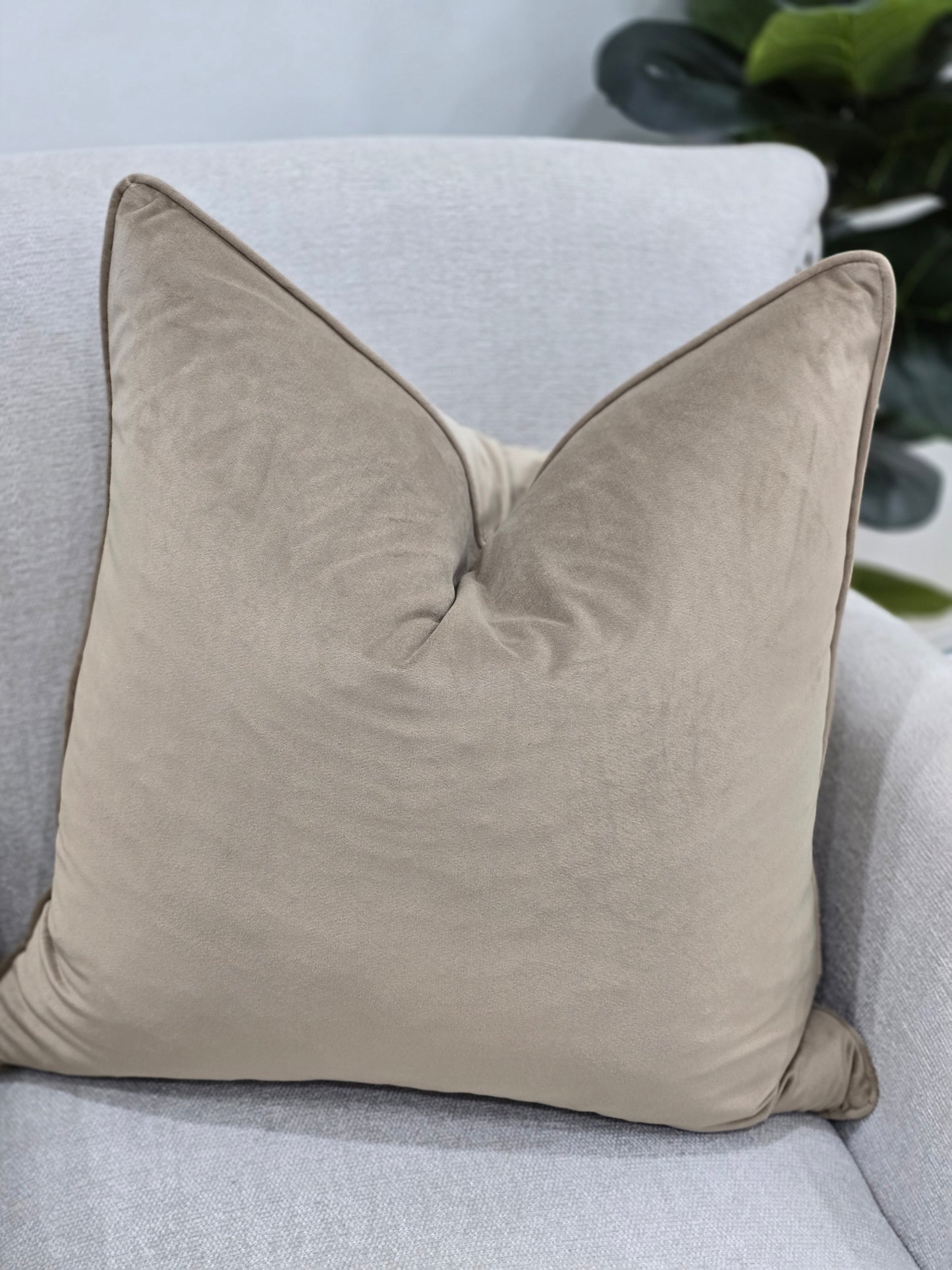 Francia cushion