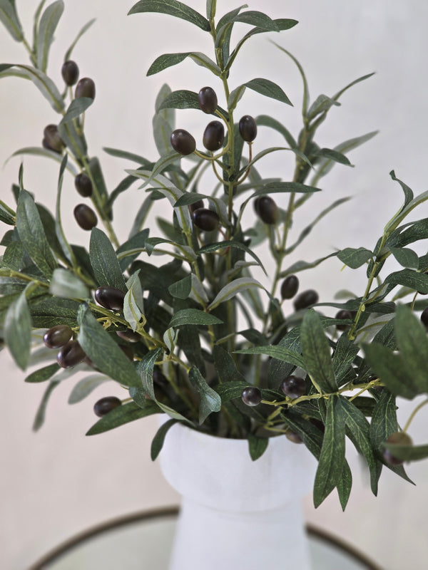 Dalel olive  arrangement