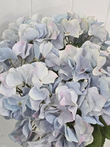 Lilly hydrangea floral arrangement