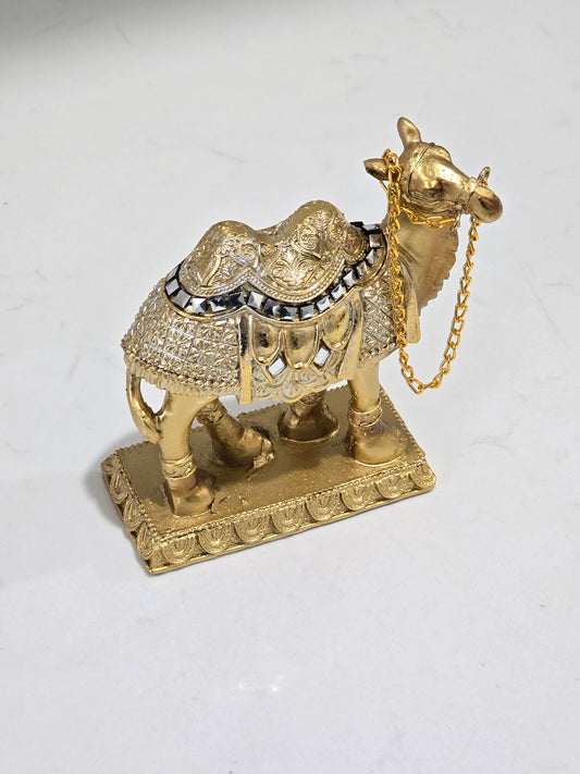 Ramadan camel