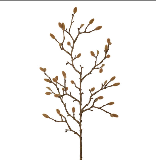 Magnolia bud spray floral