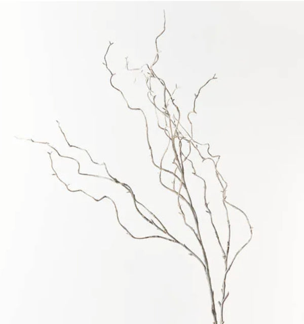 Curly willow twig  ( floral arrangement collection)