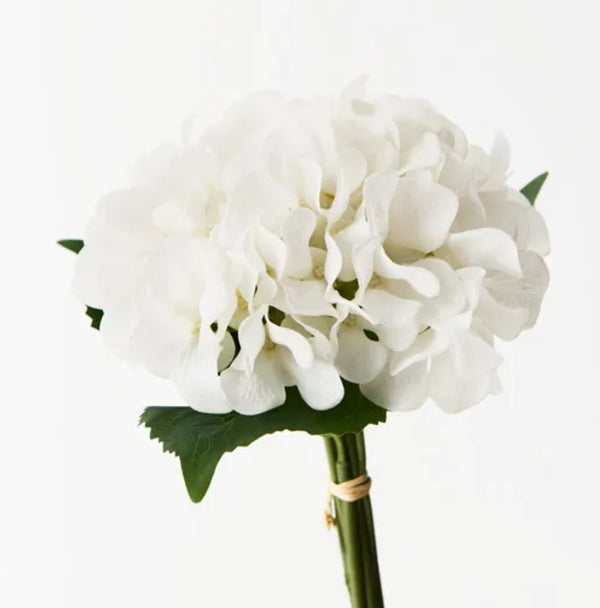 Winter white hydrangea bouquet (floral arrangement collection )
