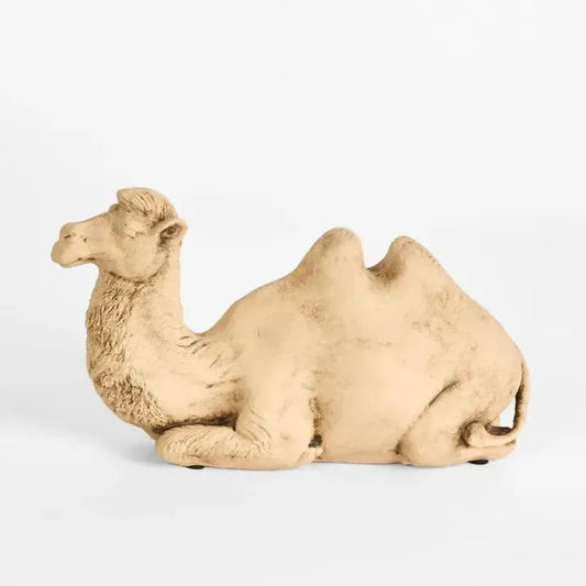 Ramadan sitting camel