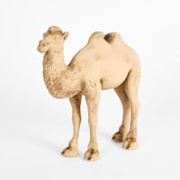 Ramadan camel
