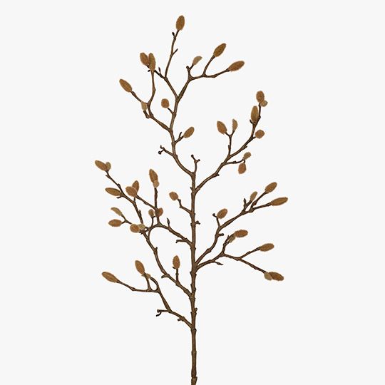 Magnolia bud floral arrangement