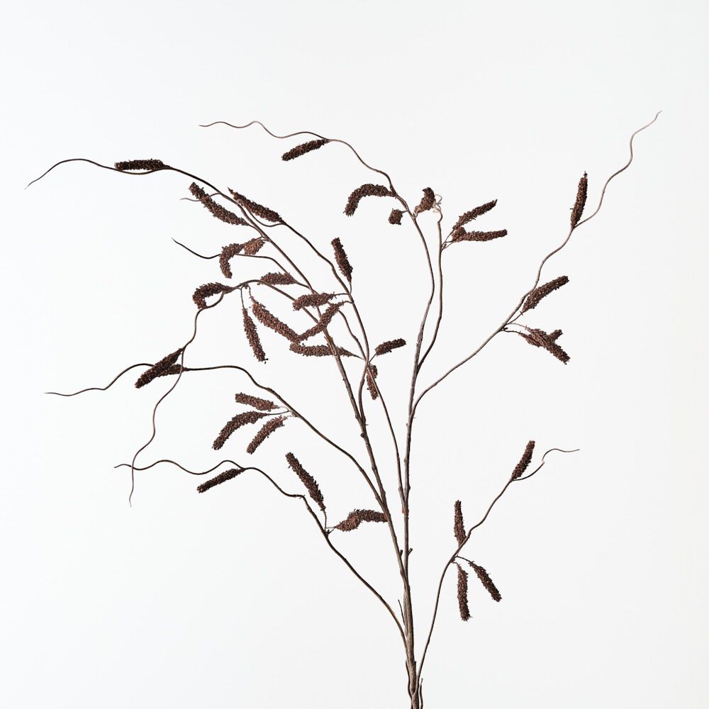 Chocolate brown amaranthus floral