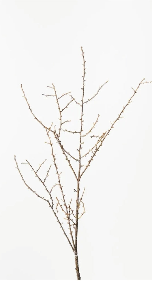 Twig spray  (floral arrangements)