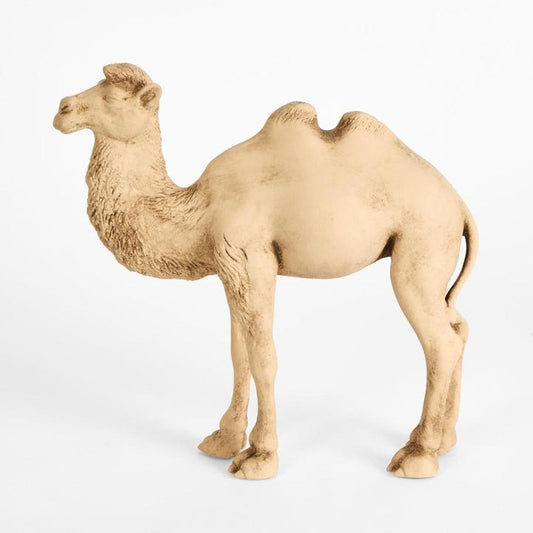 Ramadan camel
