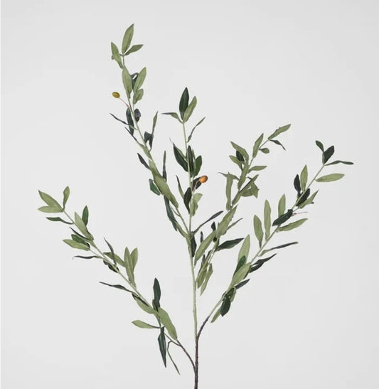 Olive leaf spray (floral arrangement )