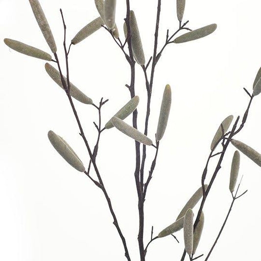 Bean pod spray