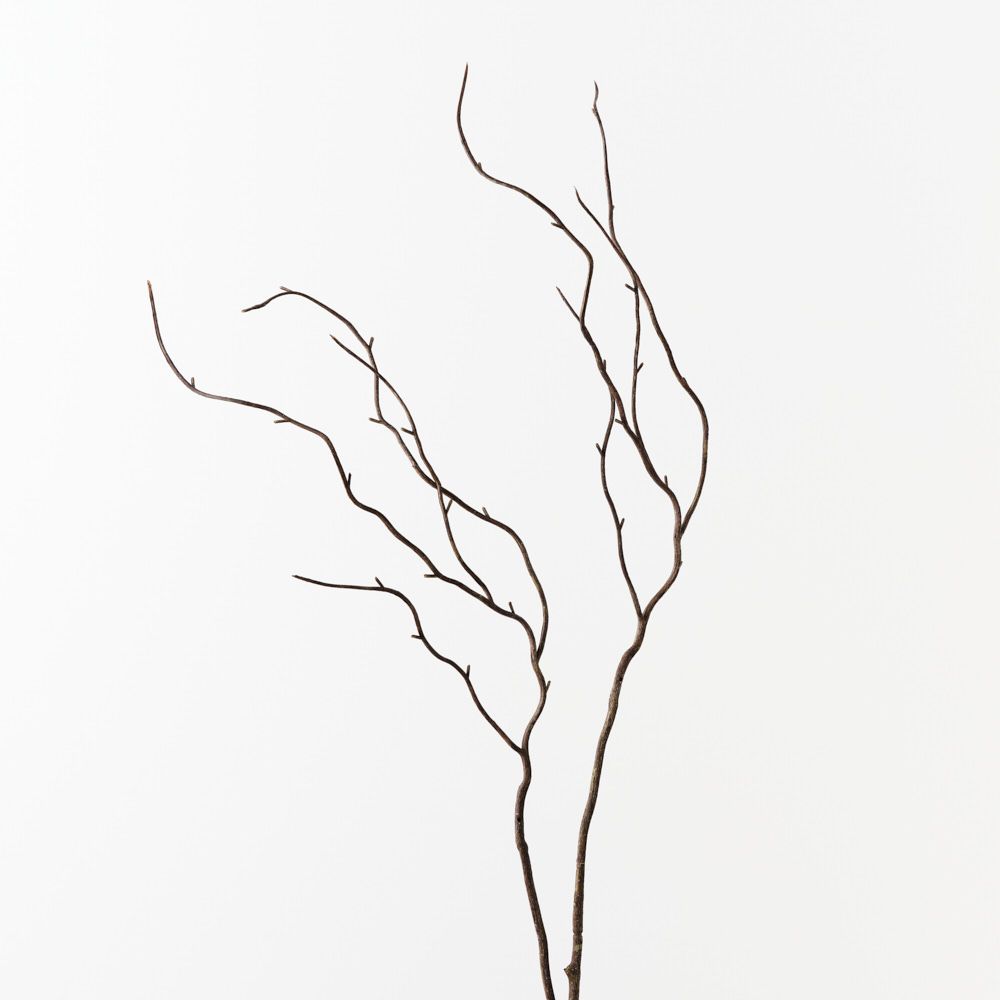 Brown willow