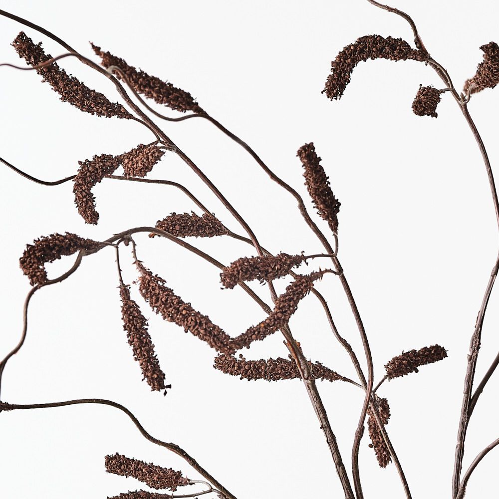 Chocolate brown amaranthus floral