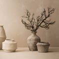 Eurysaces vase