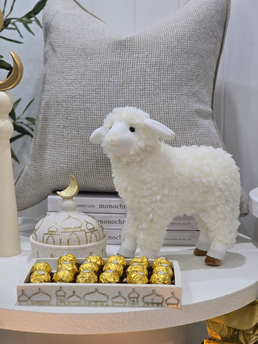 Ramadan/eid/hajj sheep