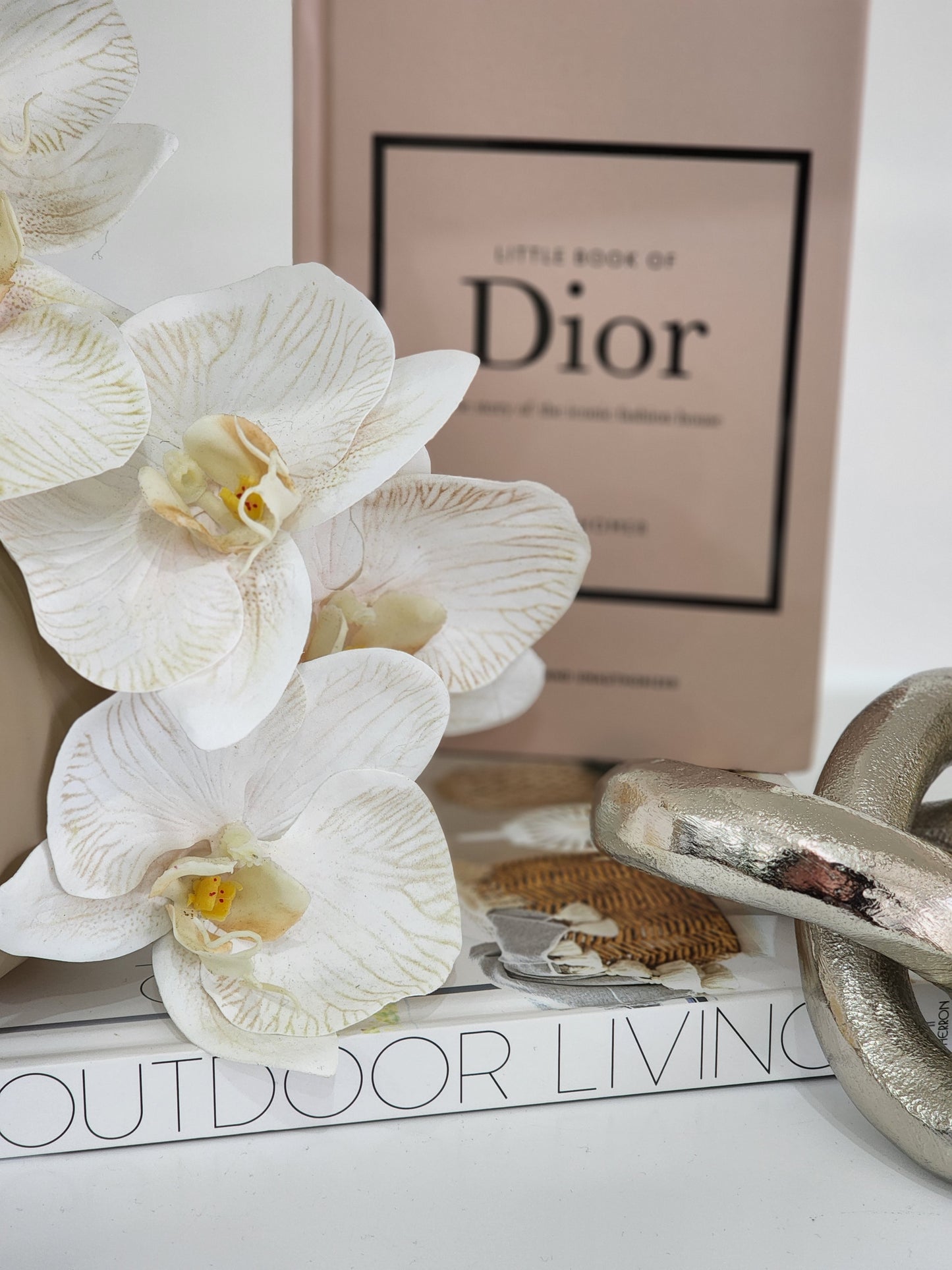 Little book of Dior