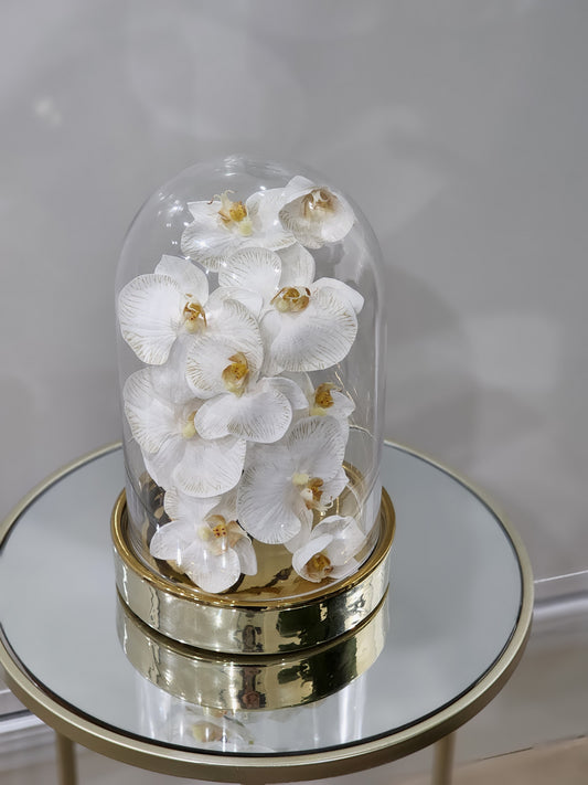 Aya dome floral arragement