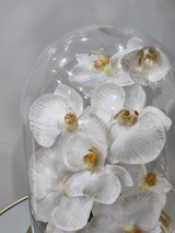 Aya dome floral arragement