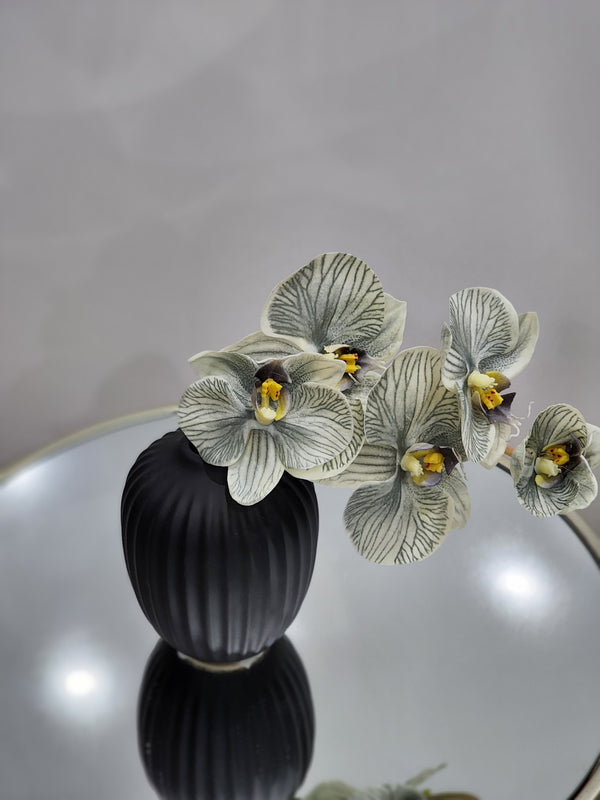 Aneesha mini orchid floral arragement