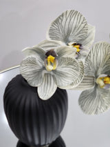 Aneesha mini orchid floral arragement