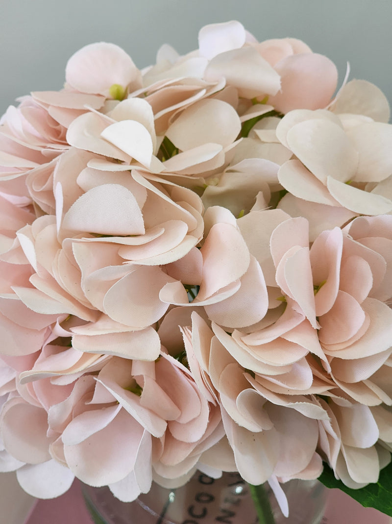 Aneesa floral arrangement sale