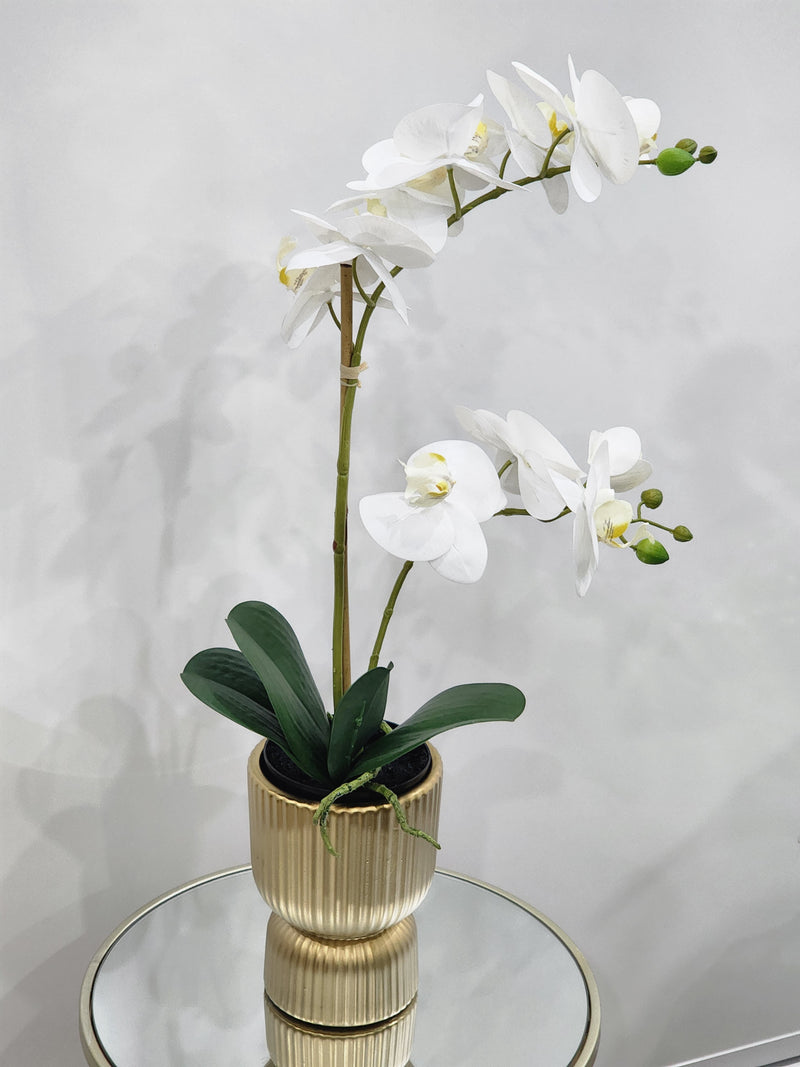 Silian  floral arrangement