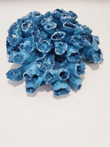 Blue coral decor