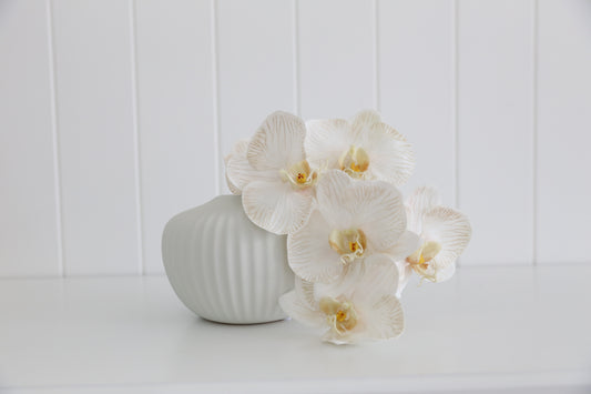 Aleena  Floral arragement