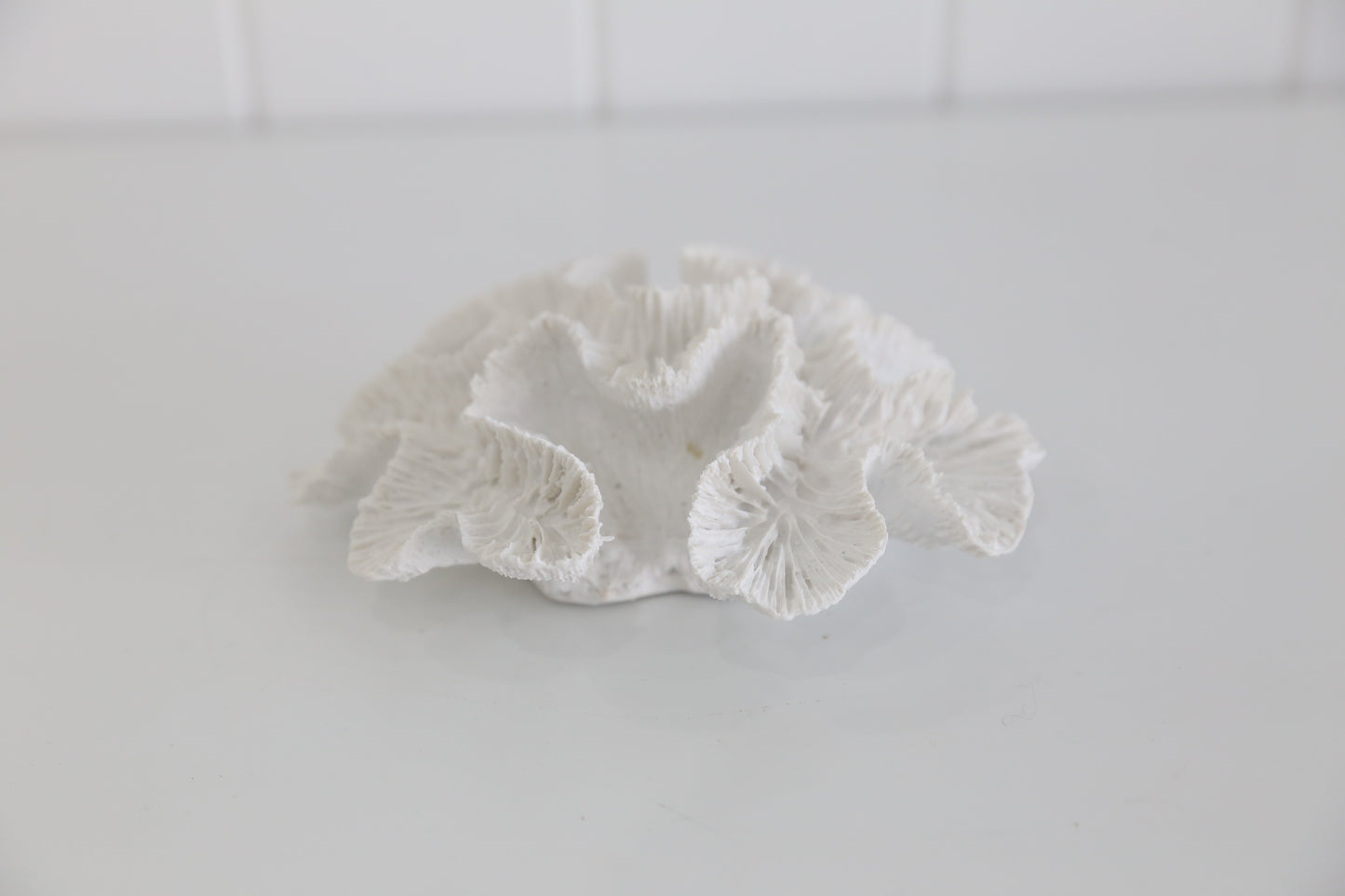 White Coral Ornament