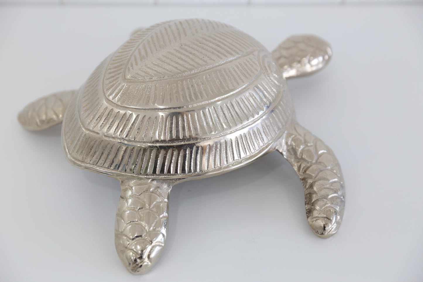 Silver Turtle decor